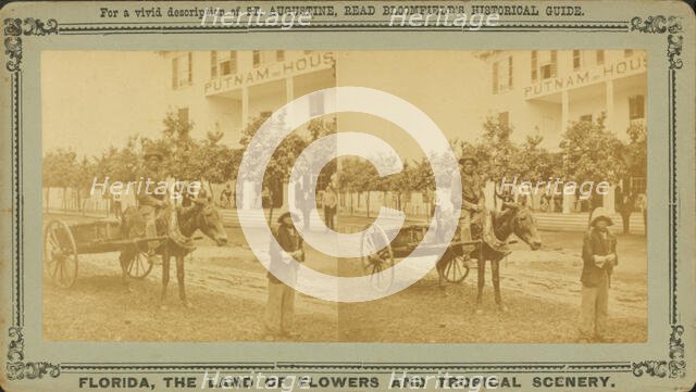 15th Amendment, or the Darkey's millenium: 40 acres of land and a mule, c1850-c1930. Creator: Unknown.