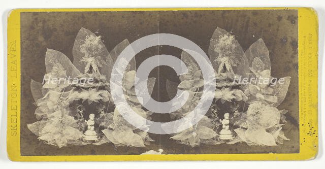 Untitled, 1873. [Skeleton leaves and statuette]. Creator: John P. Soule.