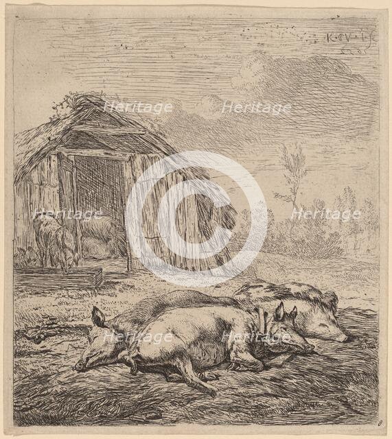 Three Pigs, 1652. Creator: Karel Du Jardin.