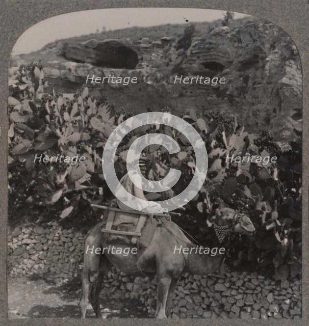 'Golgotha (The Place of the Skull)', c1900. Artist: Unknown.