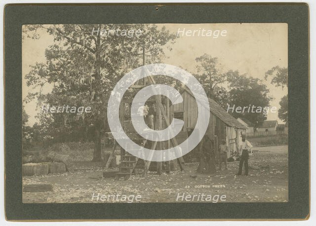 No. 48, Cotton Press, ca. 1895. Creator: A. W. Möller.