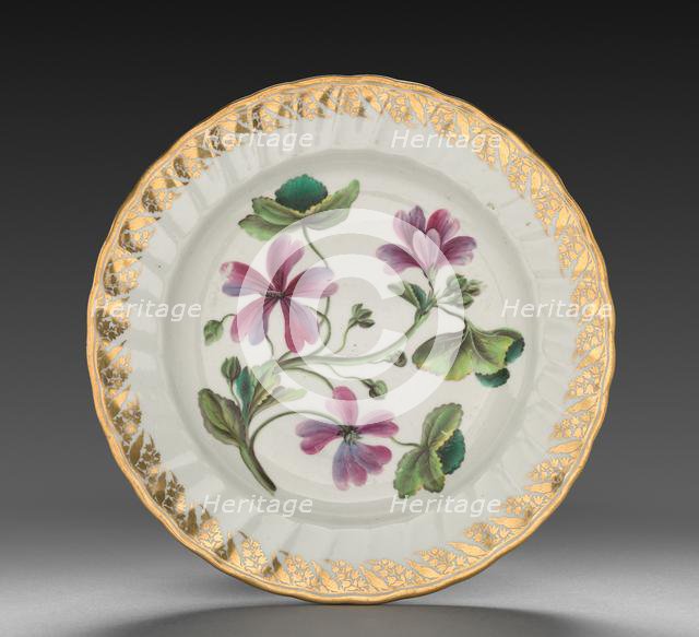 Plate from Dessert Service: Althaea Marsh Mallow, c. 1800. Creator: Derby (Crown Derby Period) (British).