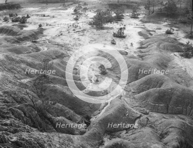 Erosion near Jackson, Mississippi, 1936. Creator: Walker Evans.