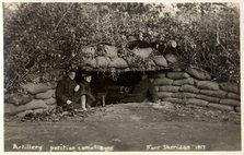 Artillery position camouflaging, Fort Sheridan, Illinois, USA, 1917. Artist: Unknown