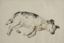 Sleeping dog. Creator: Cornelis de Visscher.