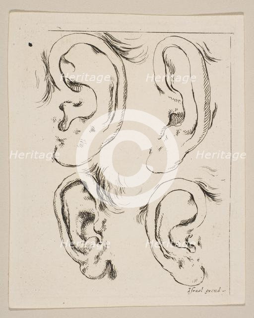 Plate 5: four ears, from 'The Book for Learning to Draw' (Livre pour apprendre à dessi..., ca. 1649. Creator: Stefano della Bella.