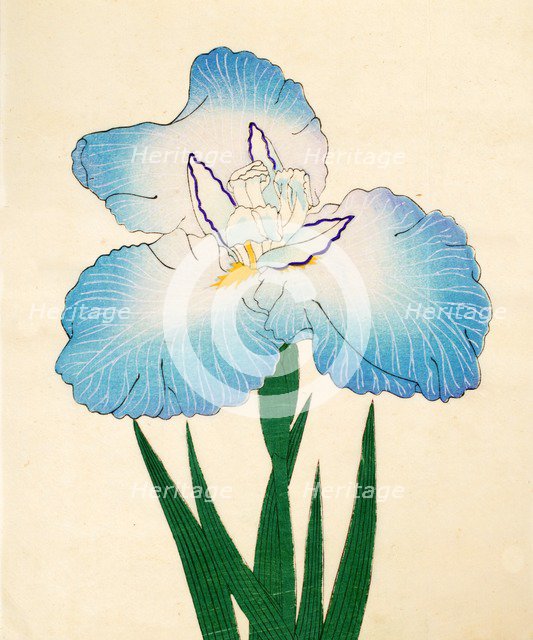 Irojiman, No. 80, 1890, (colour woodblock print)