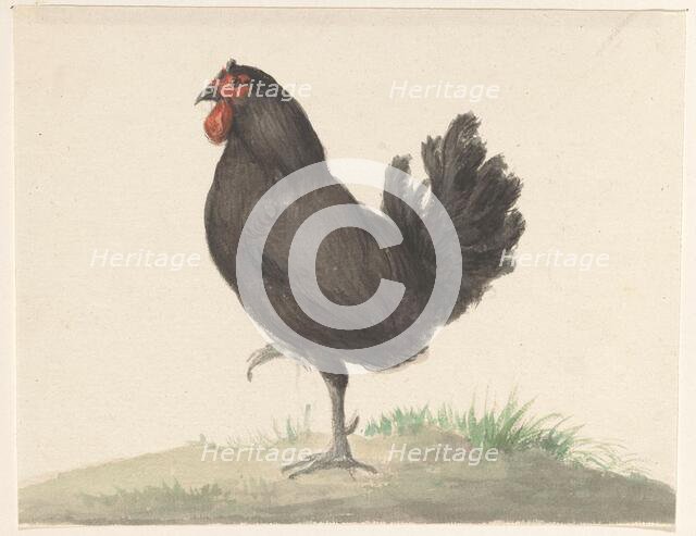 Standing black chicken, 1775-1833. Creator: Jean Bernard.