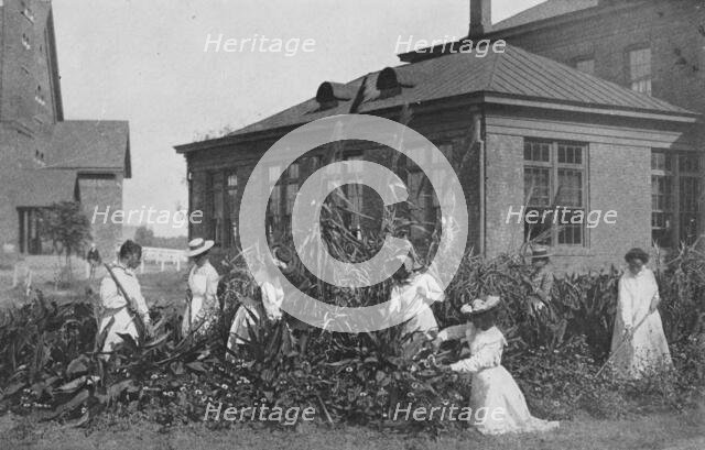 Outdoor work for girls, 1904. Creator: Frances Benjamin Johnston.