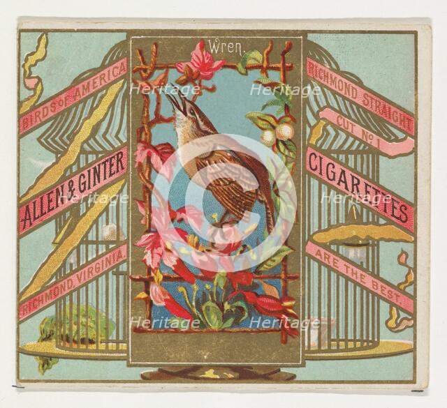 Wren, from the Birds of America series (N37) for Allen & Ginter Cigarettes, 1888. Creator: Allen & Ginter.