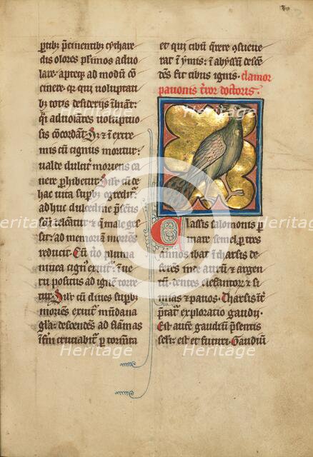 A Peacock; De Natura Avium; De Pastoribus et Ovibus; Bestiarium, 1277 or after. Creator: Unknown.