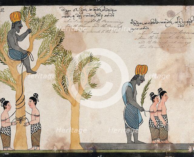 The brahmin, sitting in a tree, keeps the children of Vessantara tied up all night, and in..., 1815. Creator: Unknown.
