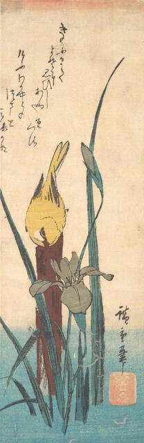 Bird and Iris. Creator: Ando Hiroshige.