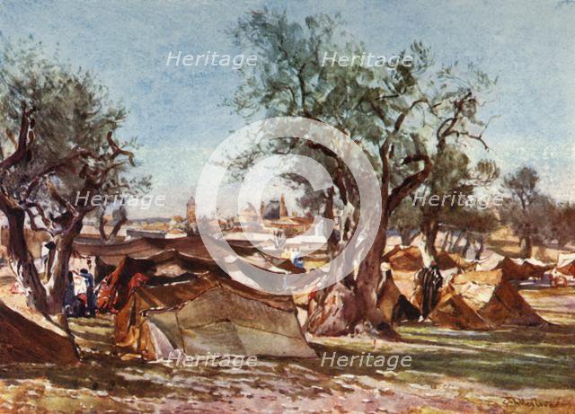 'Bedouin Encampment Outside the North Wall of Jerusalem', 1902. Creator: John Fulleylove.
