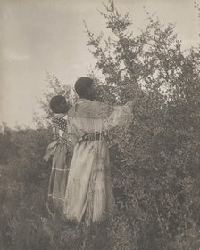 Buffalo berry gatherers-Mandan, c1908. Creator: Edward Sheriff Curtis.