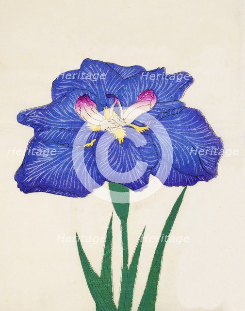 Shiga-No-Uranami, No. 3, 1890, (colour woodblock print)