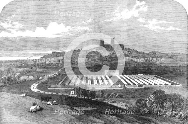 Meeting of the Royal Agricultural Society, at Lincoln, 1854. Creator: Unknown.