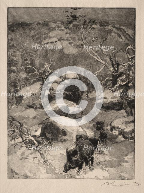 Roche Cuvier Chatillon, 1887. Creator: Auguste Louis Lepère (French, 1849-1918).