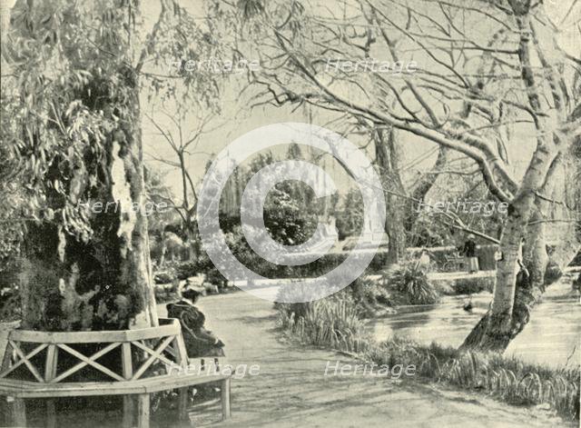 'In the Botanic Gardens, Adelaide', 1901. Creator: Unknown.