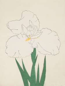 Fuji-No-Yuki, No. 13, 1890, (colour woodblock print)