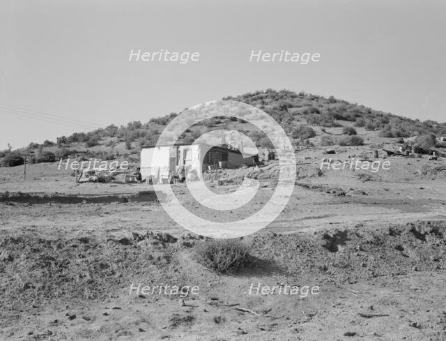 New farm in Cow Hollow, Malheur County, Oregon, 1939. Creator: Dorothea Lange.
