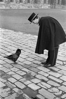 Beefeater bending down to address a raven, Tower of London, Tower Hill, London, late 1930s. Artist: John Gay.