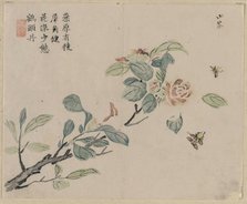 Flowering Branch with Bees, 18th Century. Creator: Unknown.