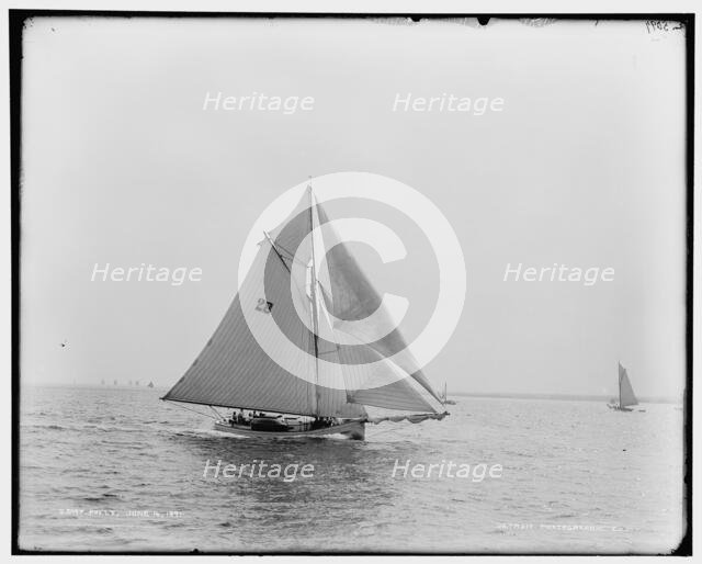 Polly, 1891 June 16. Creator: Unknown.