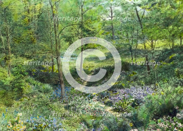 Unidentified garden, c1920. Creator: Frances Benjamin Johnston.