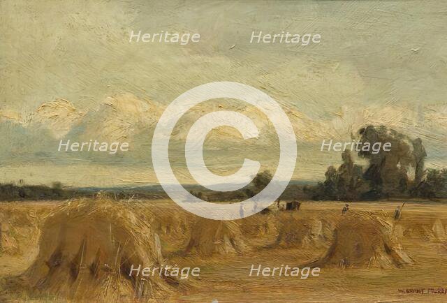 Harvest Field, Rosemount, Blairgowrie, 1907. Creator: William Grant Murray.