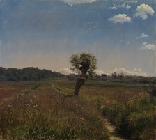 Meadow with a Solitary Willow, 1851. Creator: Peter Christian Thamsen Skovgaard.