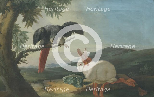 Parrot and Rabbit, 1750s. Creator: Johan Pasch.