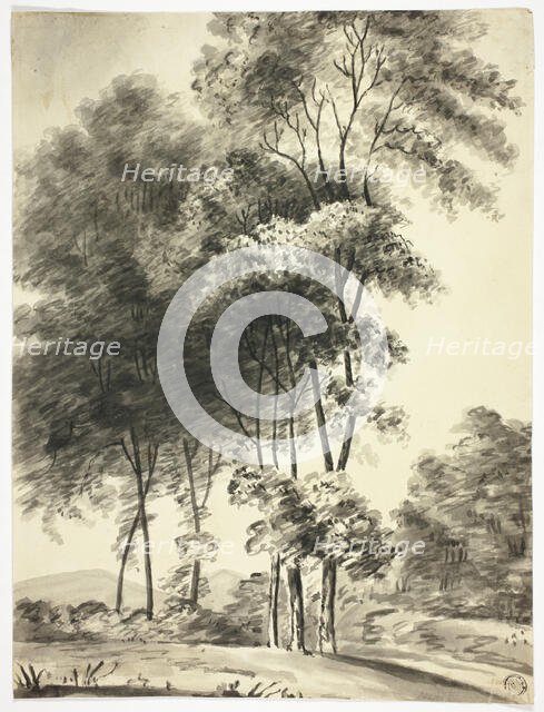 Trees with Mountains in Distance, n.d. Creator: Unknown.