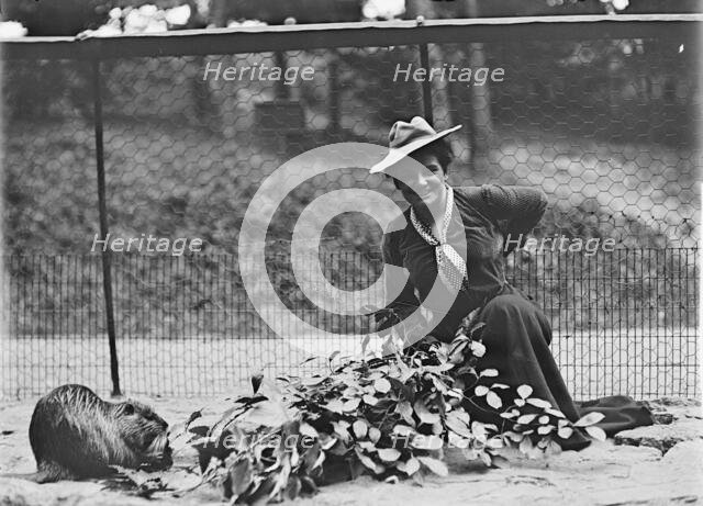 Mrs. Franklin Adams, nee Harriet Chalmers, at Zoo, 1912. Creator: Harris & Ewing.