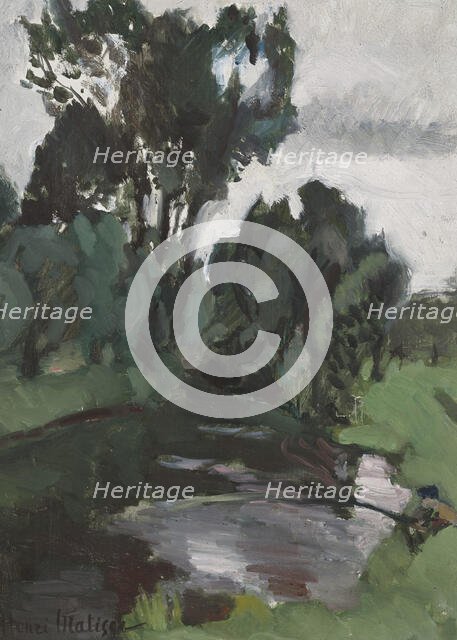 Trees at the water's edge, Bohain, 1903. Creator: Matisse, Henri (1869-1954).