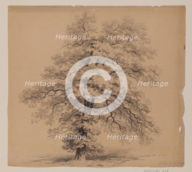 Switzerland, September 15, 1840. Creator: John William Casilear.