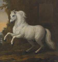 Karl XI's favourite horse In short, 1684. Creator: David Klocker Ehrenstrahl.
