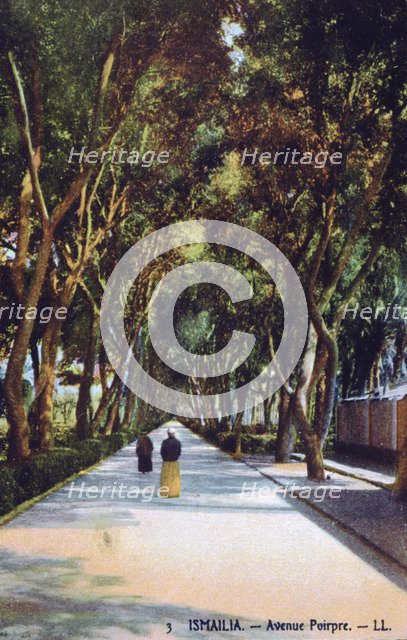 'Avenue Poirpre, Ismailia, Egypt', c1900. Creator: Unknown.