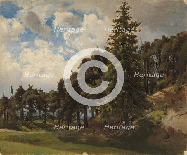 Wooded mountainside. Creator: Johan Knutson.