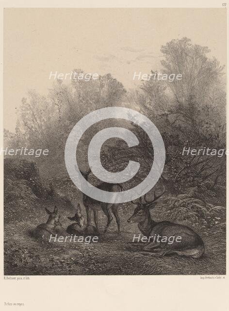 Biches au repos. Creator: Karl Bodmer.