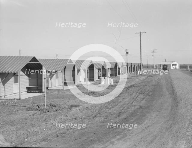 United States government camp for migratory workers, (FSA), Westley, California , 1939. Creator: Dorothea Lange.