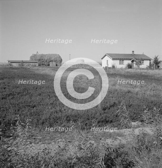 The Emmett Smith house, one of the best of the flat, Dead Ox Flat, Malheur County, Oregon, 1939. Creator: Dorothea Lange.