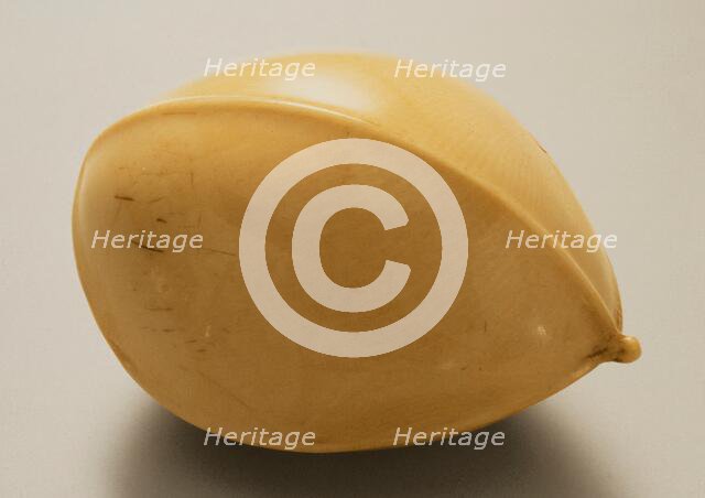 Gingko Nut, Mid-19th century. Creator: Ohara Mitsuhiro.