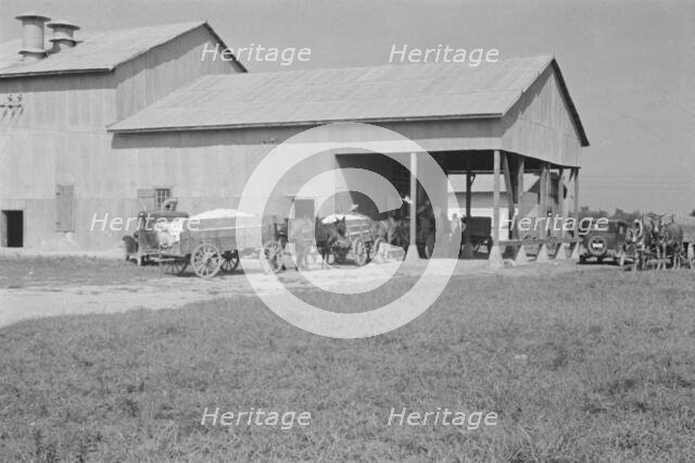 At the cotton gin, Cotton gin and wagons, Hale County, Alabama, 1936. Creator: Walker Evans.
