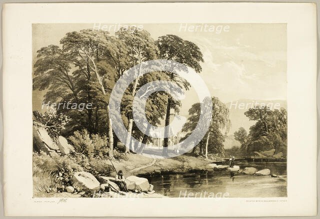 Black Poplar, from The Park and the Forest, 1841. Creator: James Duffield Harding.