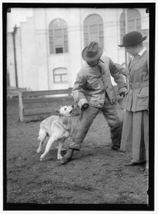 Society Circus, between 1910 and 1917. Creator: Harris & Ewing.