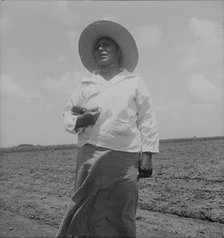 Wife of a Mexican sharecropper near Bryan, Texas, 1938. Creator: Dorothea Lange.