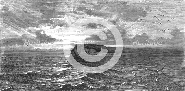 'Amelia Island, Florida; A Flying Visit to Florida', 1875. Creator: Thomas Mayne Reid.