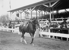 Morton, Miss Helen - Horse Show, 1914. Creator: Harris & Ewing.