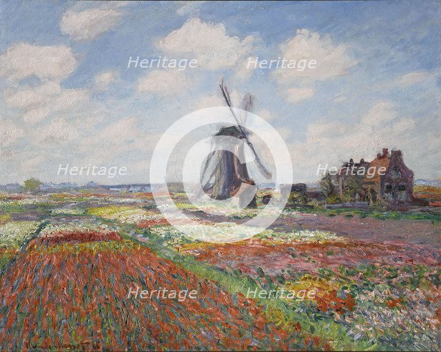 Tulip fields in Holland (Champs de tulipes en Hollande).